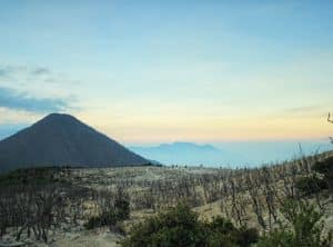 Eksotisme Hutan Mati Gunung Papandayan