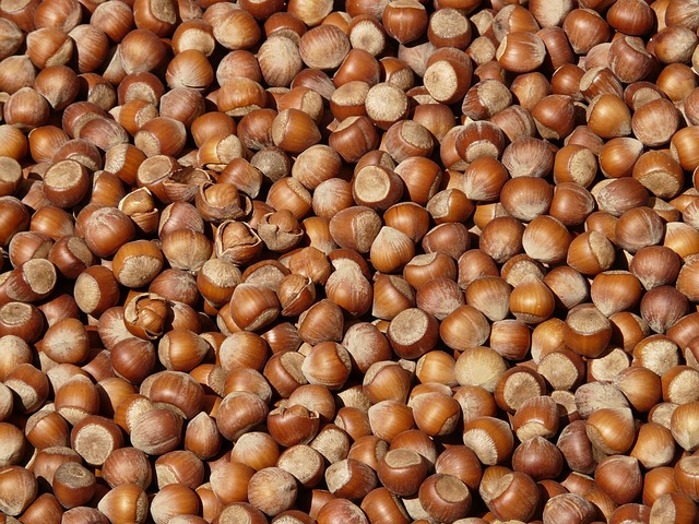 Kandungan Kacang Hazelnut