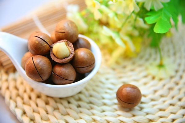 Kandungan Kacang Macadamia