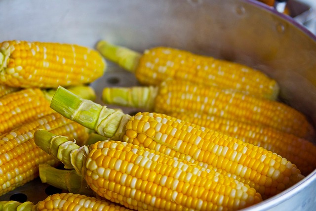 Fakta Jagung