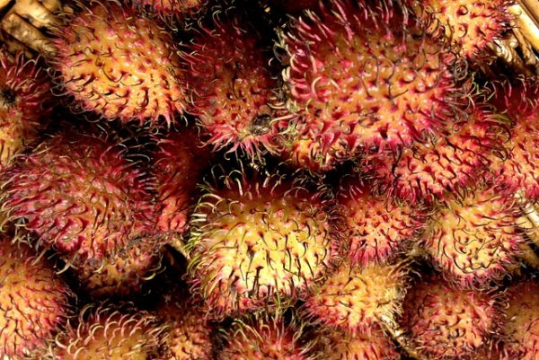 Fakta Buah Rambutan