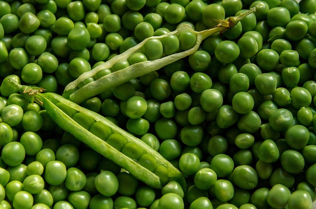 Kandungan Kacang Polong