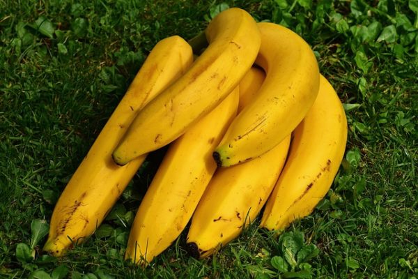 Fakta Pisang Ambon