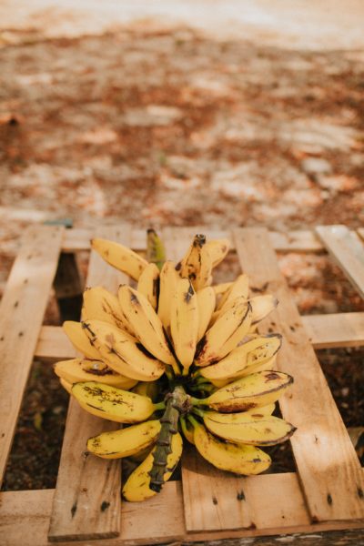 Mitos Pisang Tanduk