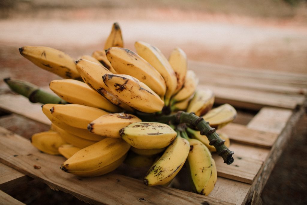 Kandungan Pisang Lampung