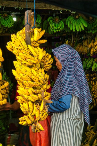 Manfaat Pisang Lampung