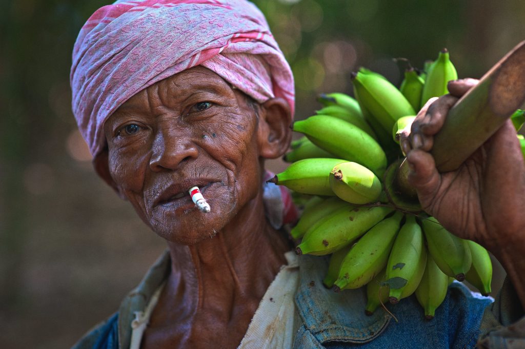 Mitos Pisang Lampung