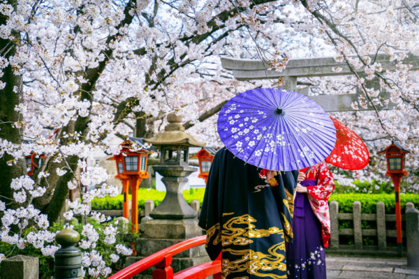 10 Bunga Yang Ada Di Jepang