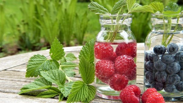 Resep Infused Water Raspberry