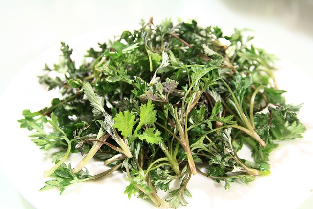 Kandungan Mugwort