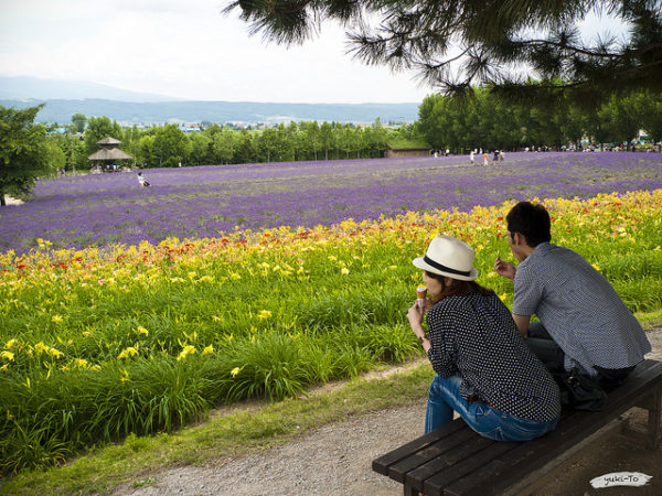 10 Destinasi Jepang yang Harus Dikunjungi di Bulan Juni